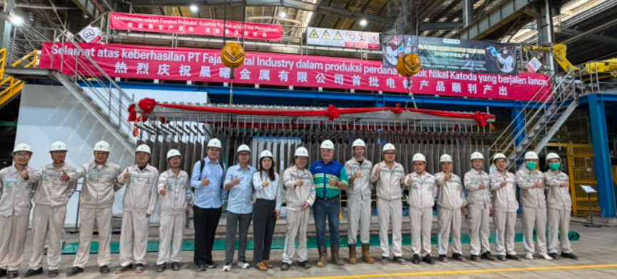 Nickel Industries produces first nickel cathode at ENC