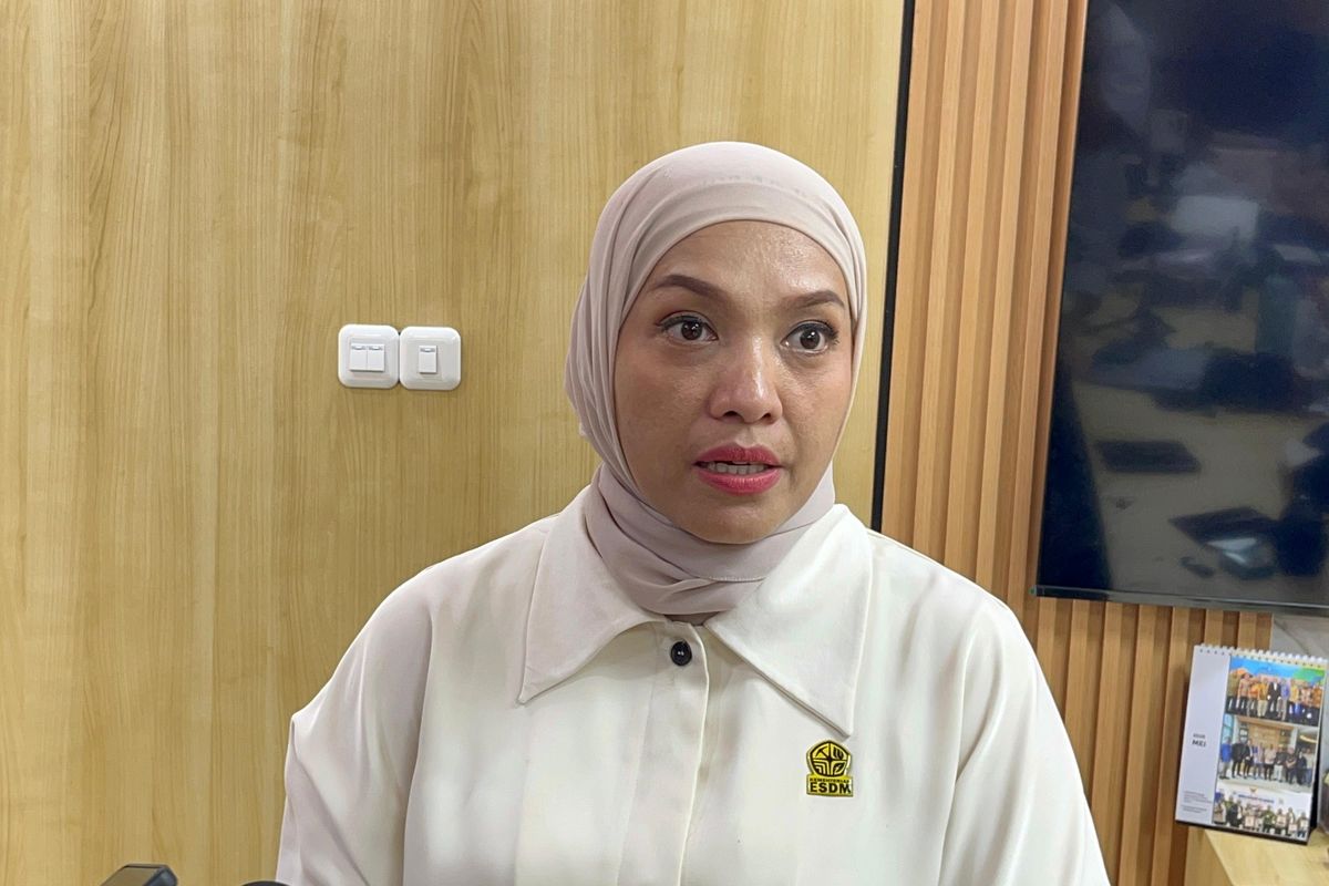 Dwi Anggia, Spokesperson for the Ministry of Energy and Mineral Resources
